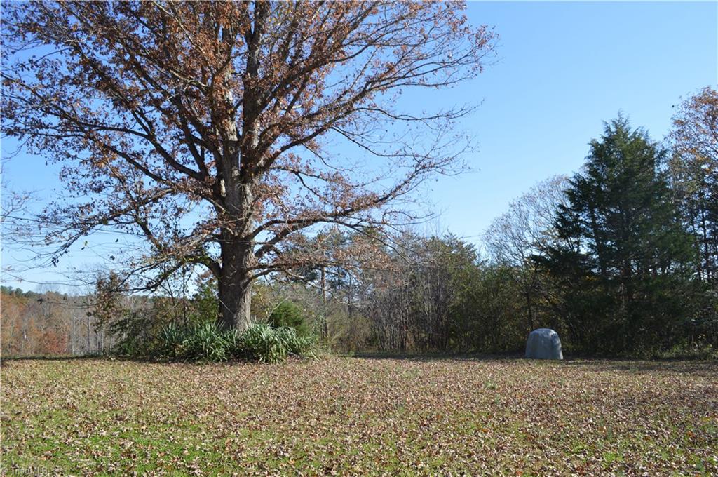968 Romie Snow Road Dobson, NC 27017 - Photo 5 of 13 Gallery Image 5
