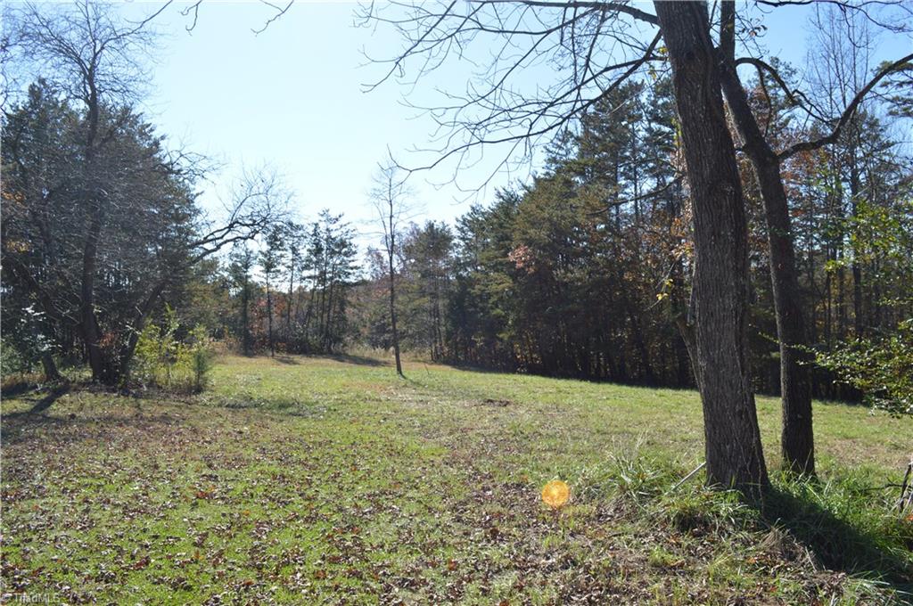 968 Romie Snow Road Dobson, NC 27017 - Photo 6 of 13 Gallery Image 6