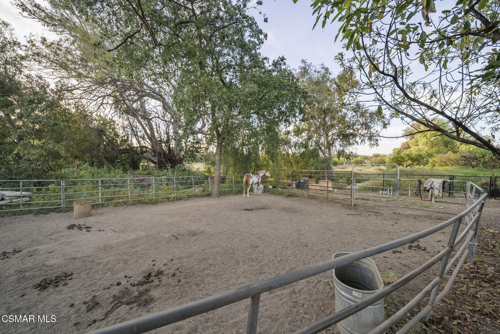 8075 Fruitvale Avenue Moorpark, CA 93021 - Photo 48 of 84 66-web-or-mls-DSC07396