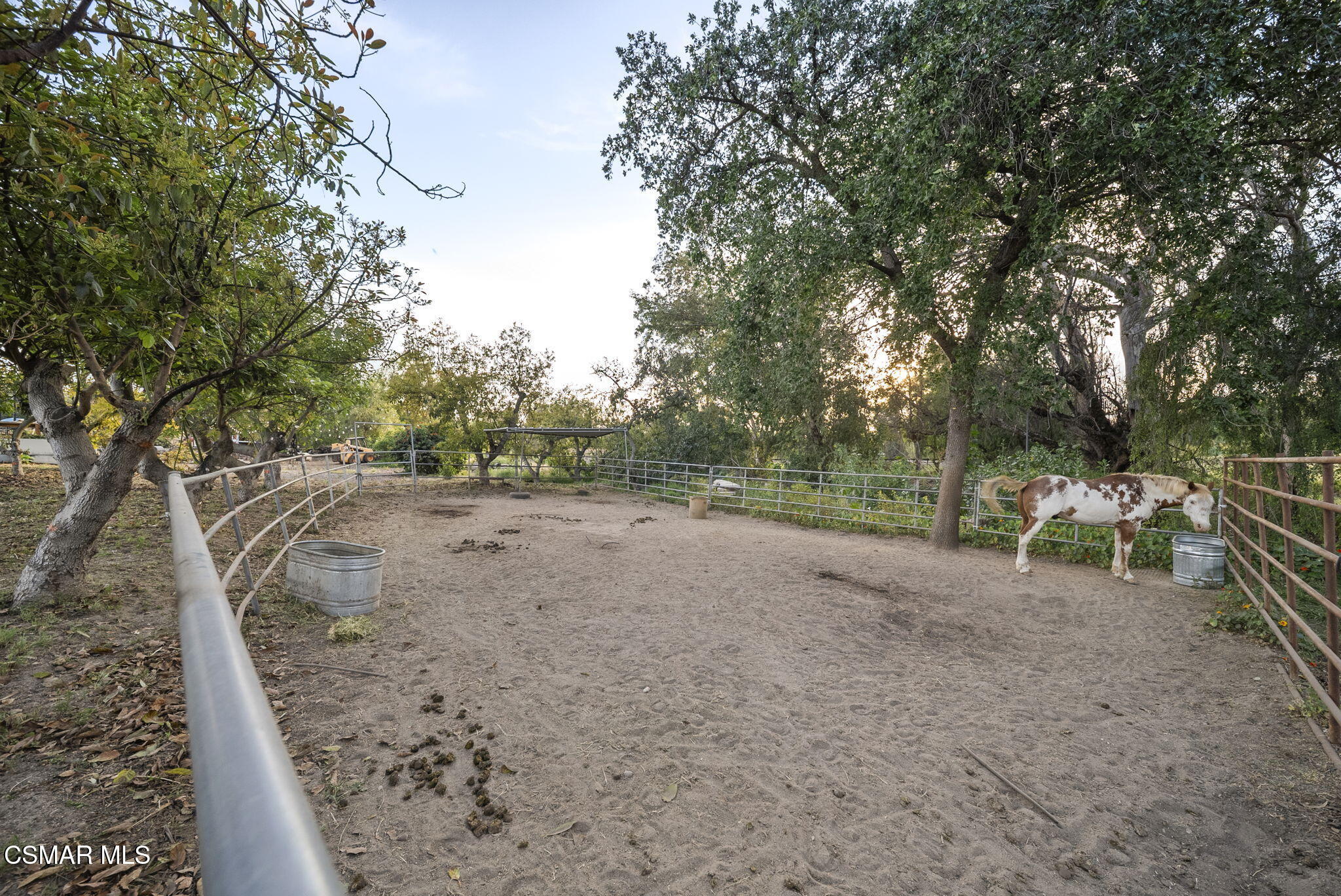 8075 Fruitvale Avenue Moorpark, CA 93021 - Photo 49 of 84 67-web-or-mls-DSC07403