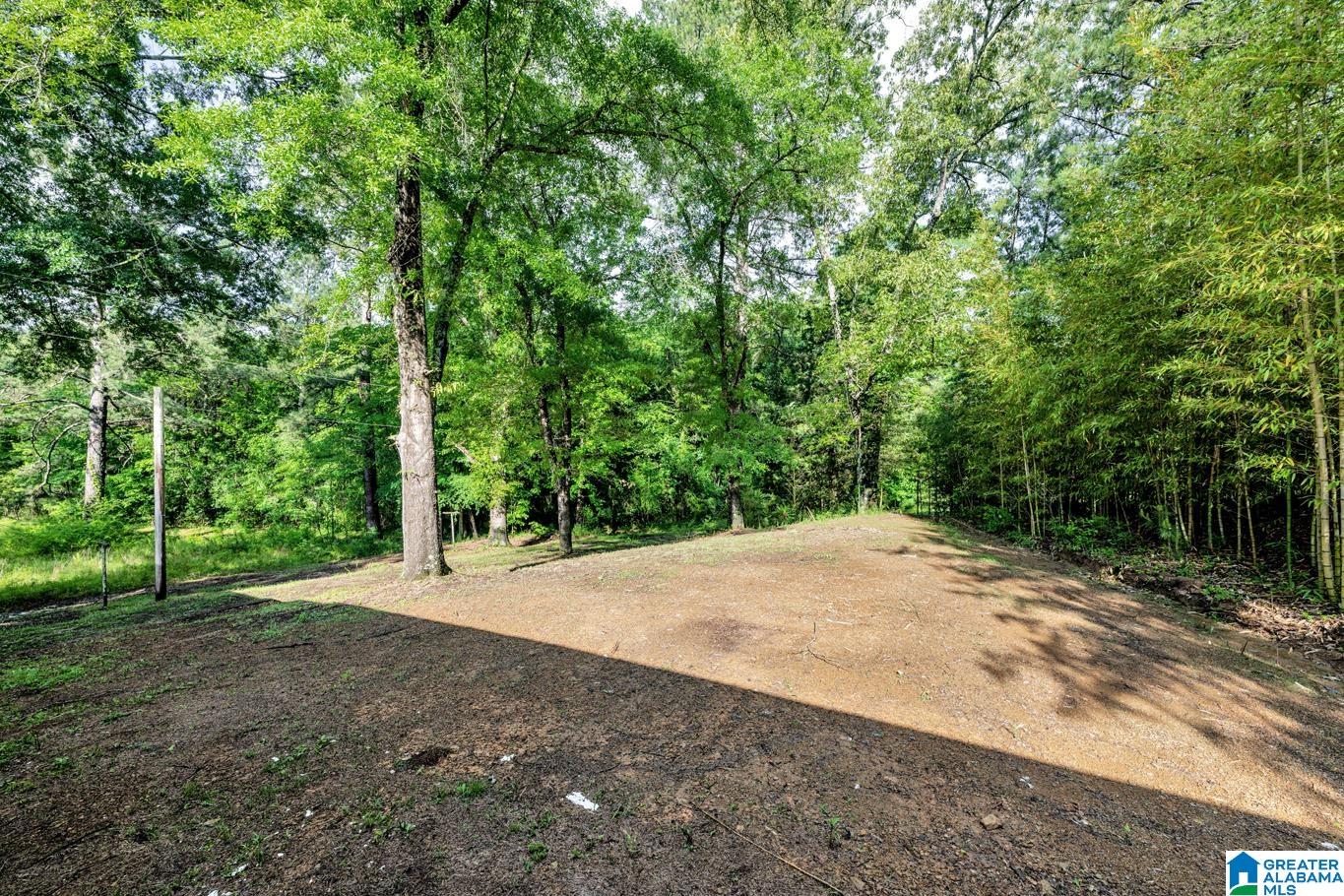 5457 Snowville Brent Road Dora, AL 35062 - Photo 27 of 29