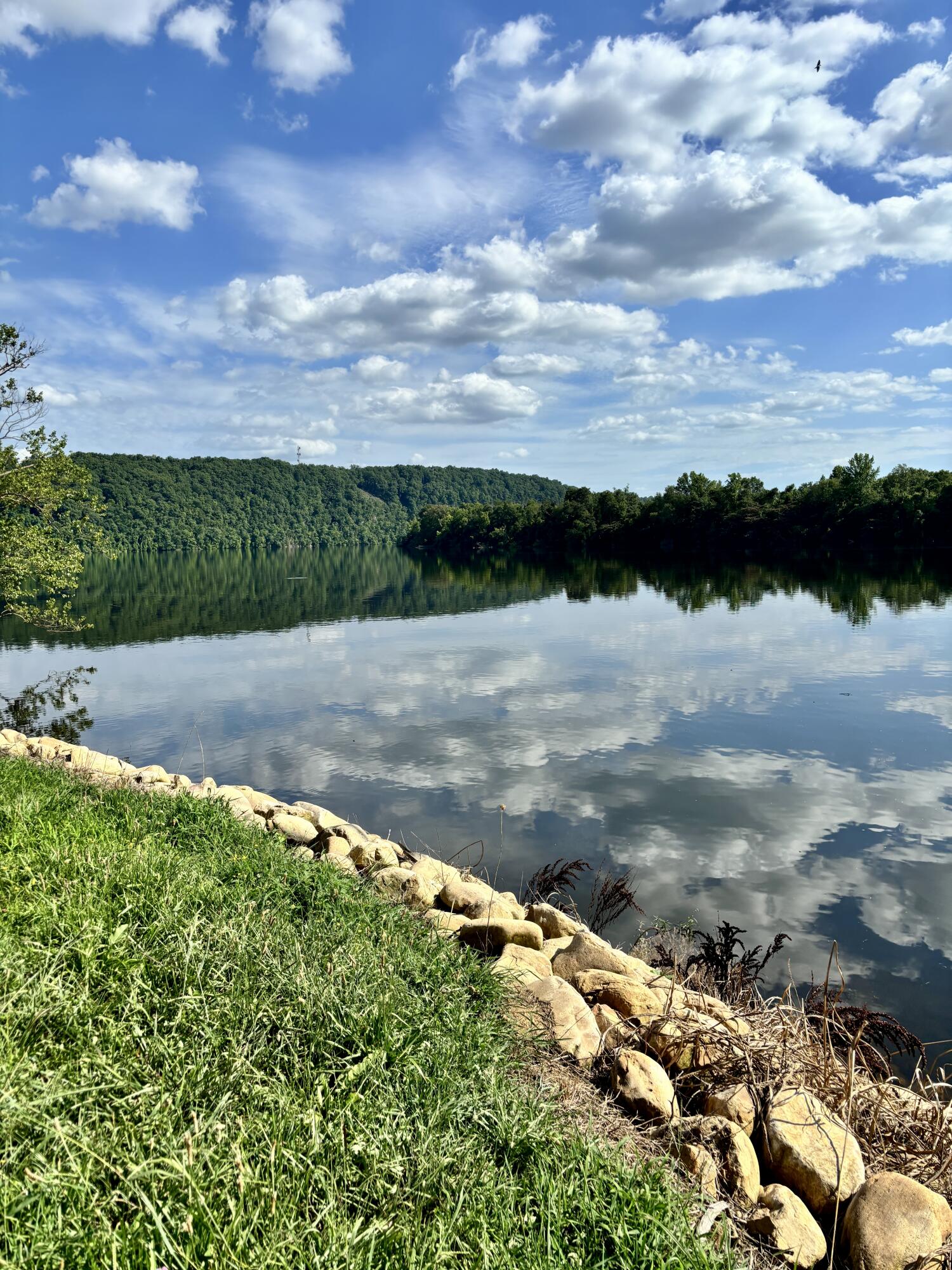 1058 Espalier Drive, Unit LOT 52 Decatur, TN 37322 - Photo 7 of 20 WATERFRONT