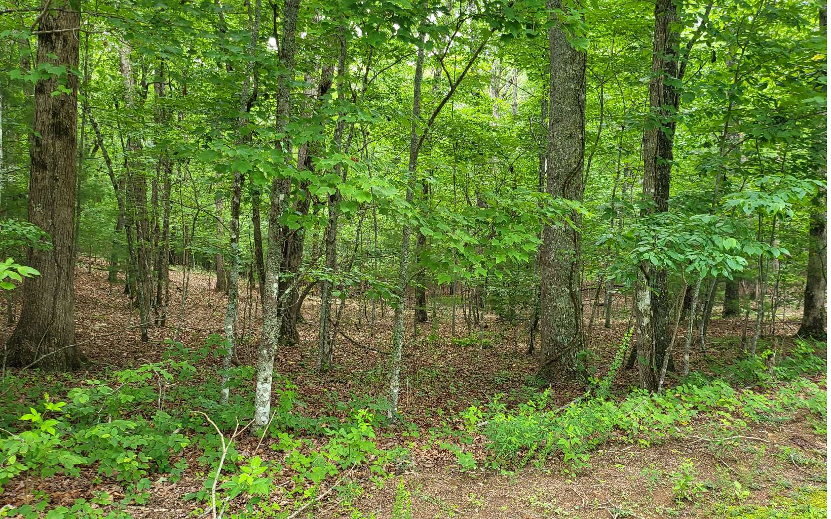 45-acs New Hope Road Morganton, GA 30560 - Photo 43 of 72 Additional View