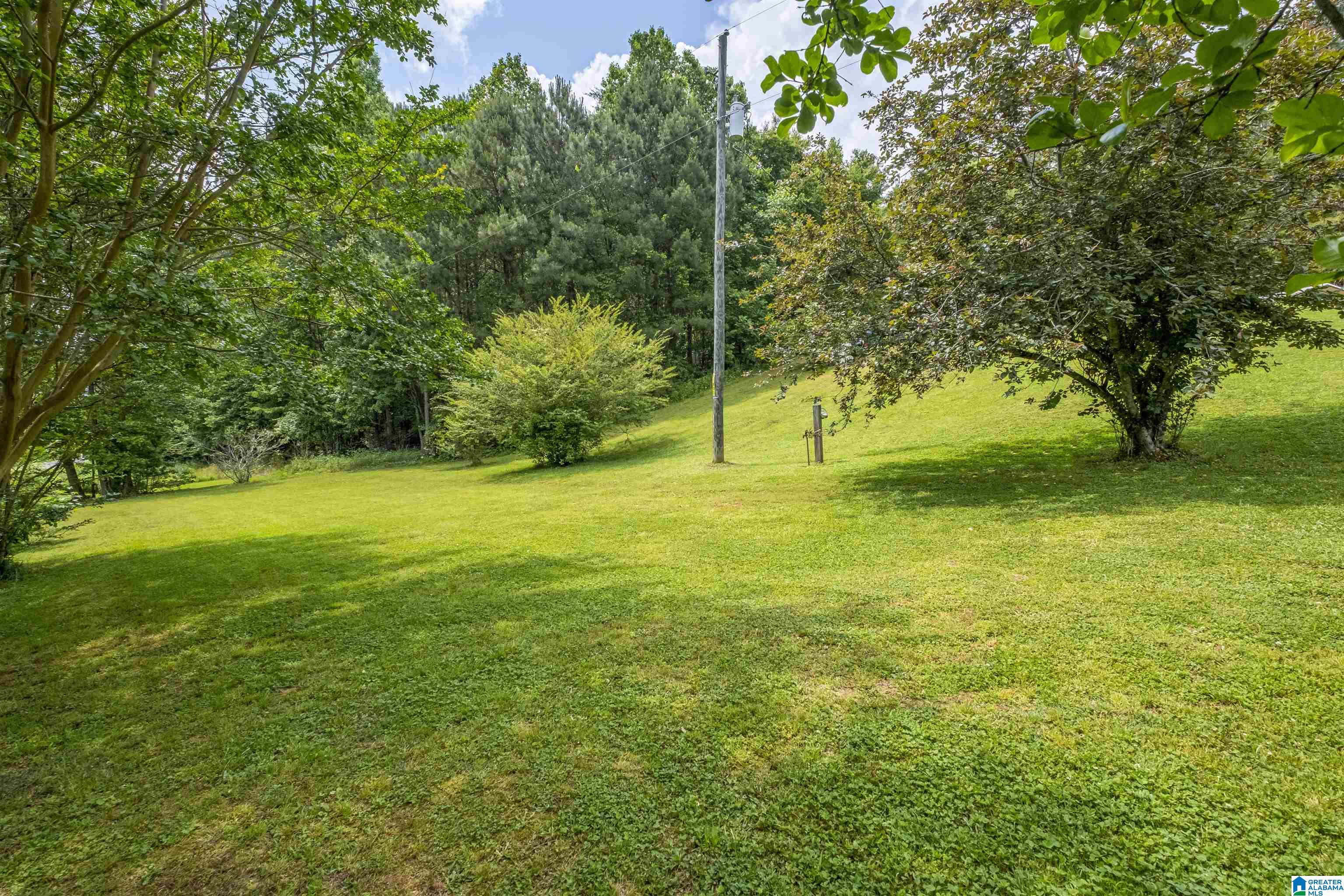 7623 Rabbittown Road Piedmont, AL 36272 - Photo 41 of 46 Gallery Image 41