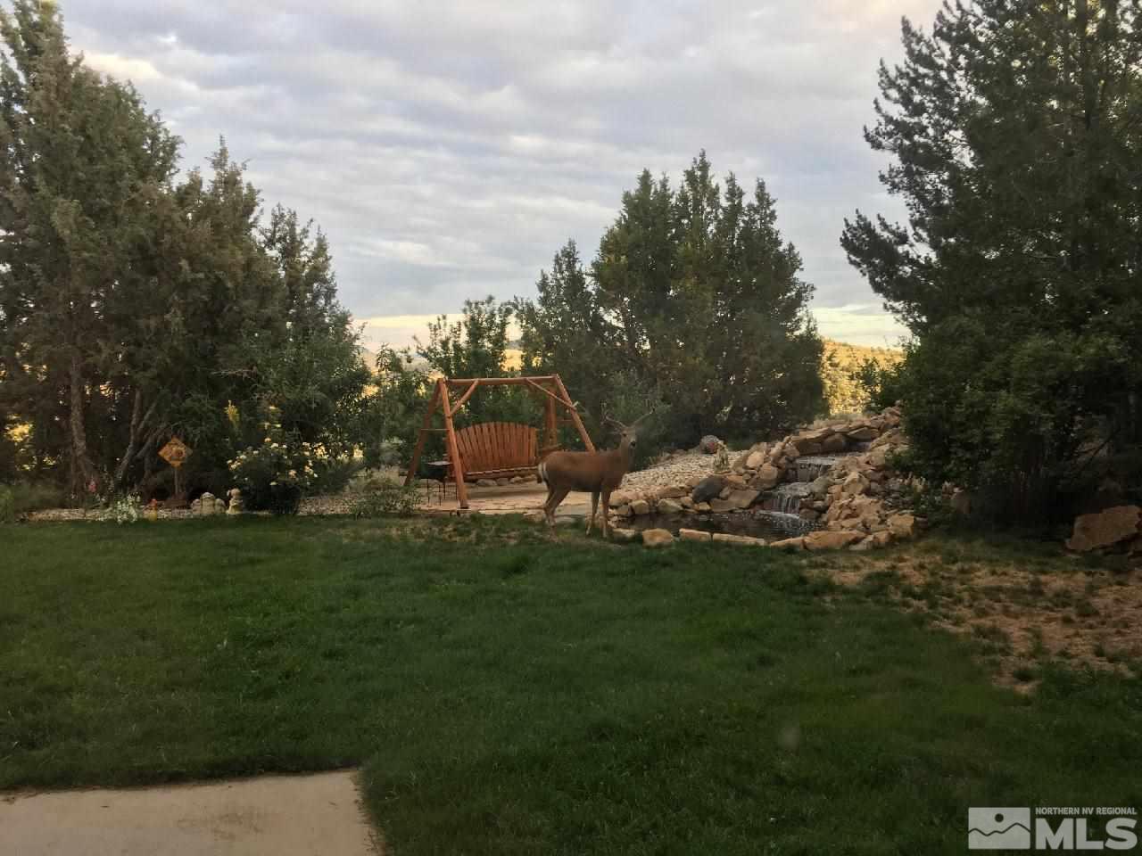 650 Curnow Canyon Road Reno, NV 89510 - Photo 3 of 40 a view of a green field