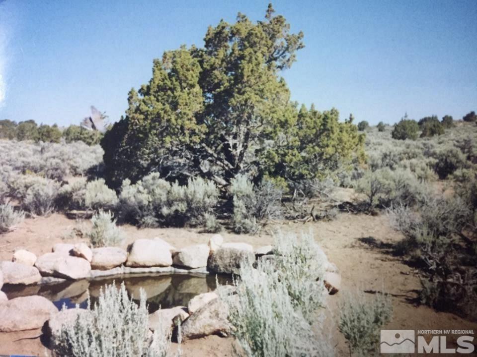 650 Curnow Canyon Road Reno, NV 89510 - Photo 9 of 40 a view of outdoor space with green field and trees