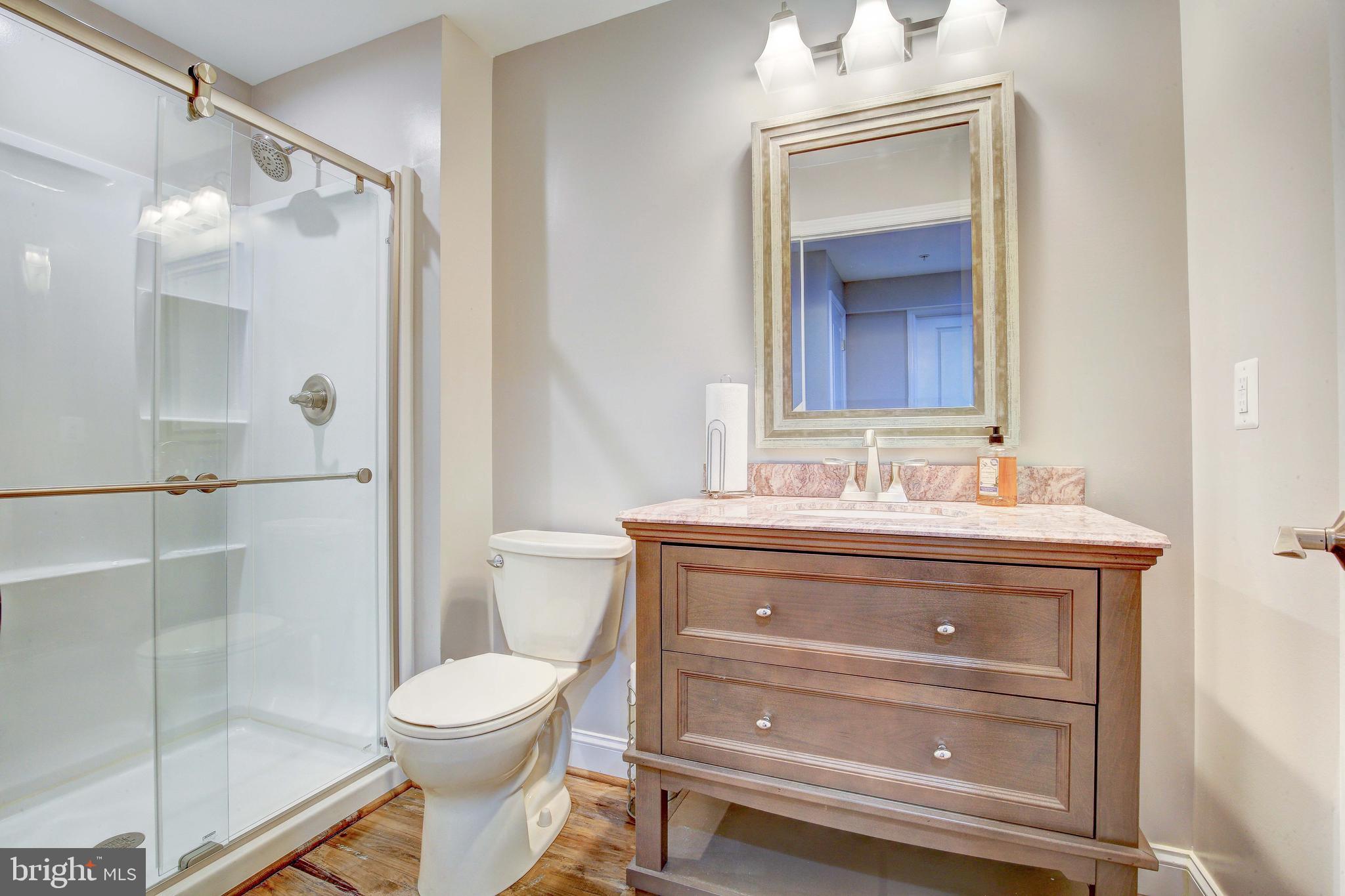 3029 Sunny Ridge Drive Odenton, MD 21113 - Photo 34 of 53 Lower Level Bathroom