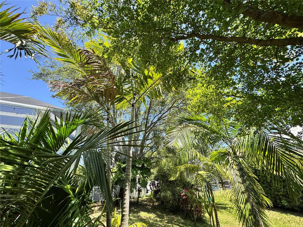 6207 Tupelo Trail Lakewood Ranch, FL 34202 - Photo 21 of 33