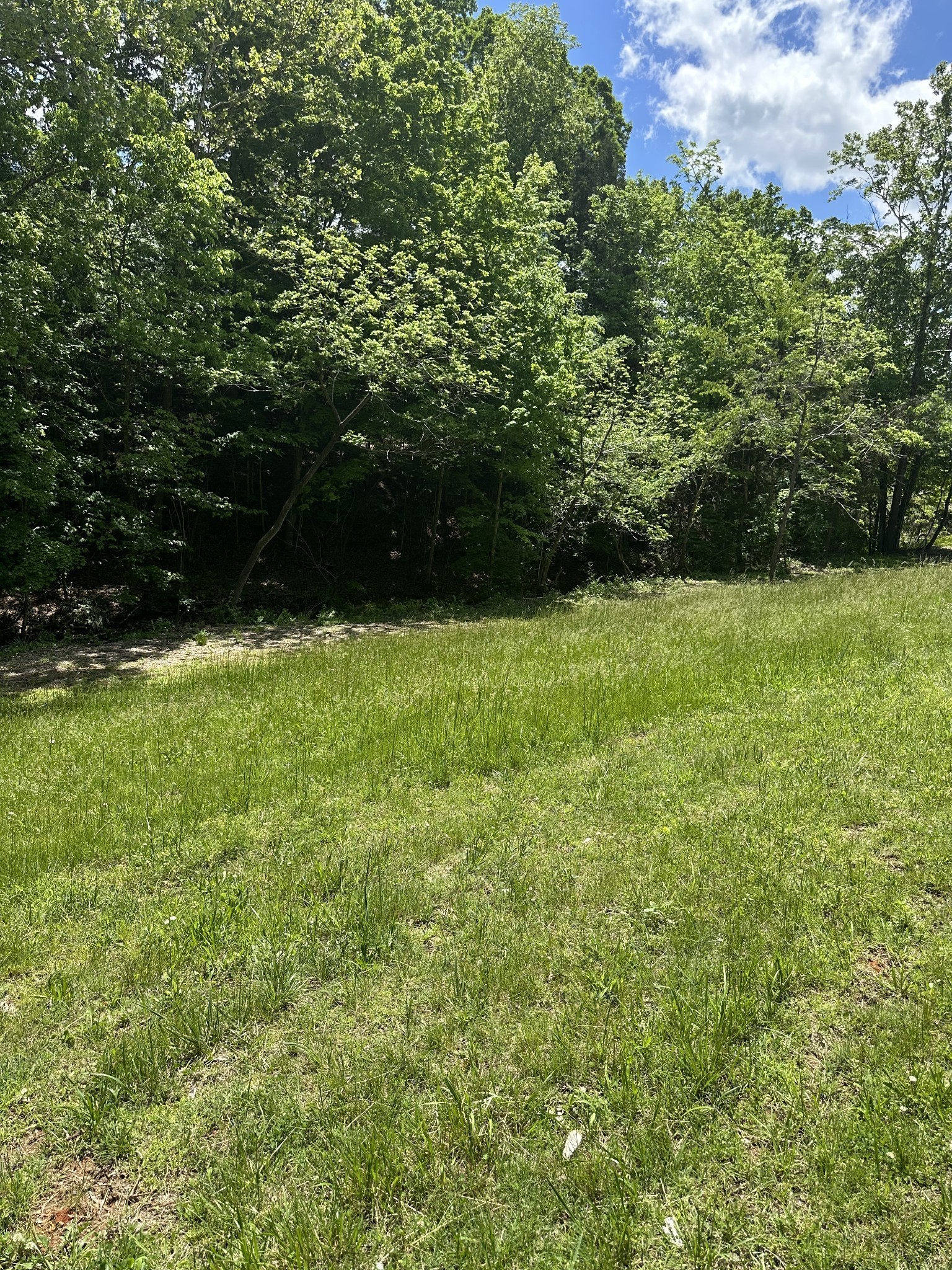 6481 Kelly Willis Road Greenbrier, TN 37073 - Photo 3 of 13 a view of yard with green space