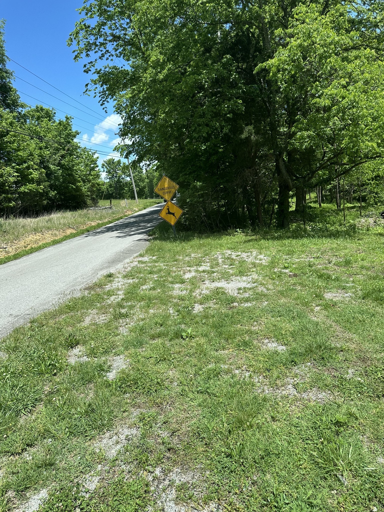 6481 Kelly Willis Road Greenbrier, TN 37073 - Photo 4 of 13 a view of a yard with a tree