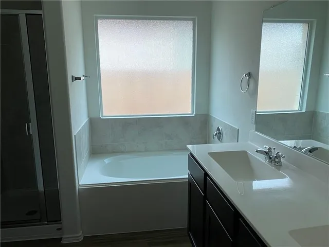 a bathroom with a sink and a bathtub