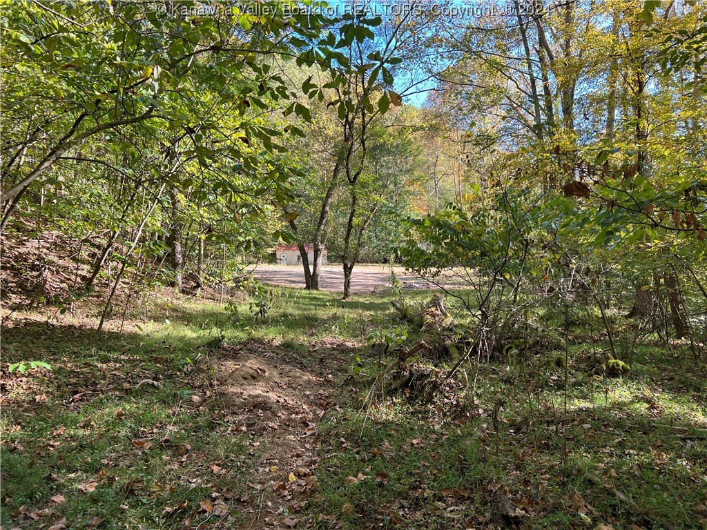 1586 Porter Creek Road Bomont, WV 25030 - Photo 11 of 12 Gallery Image 11