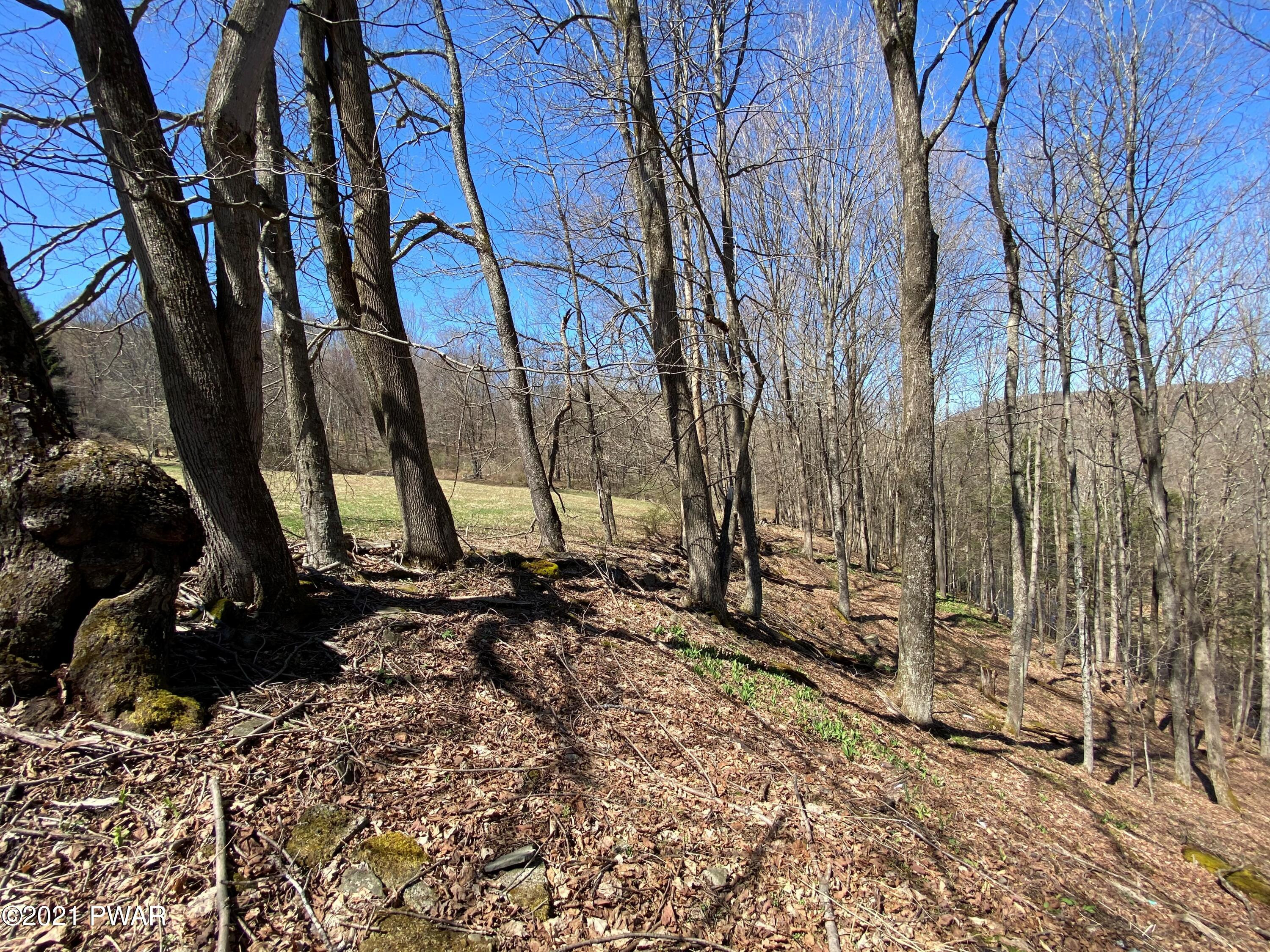 Burns Road Waymart, PA 18472 - Photo 3 of 12 Back of lot slopes to River