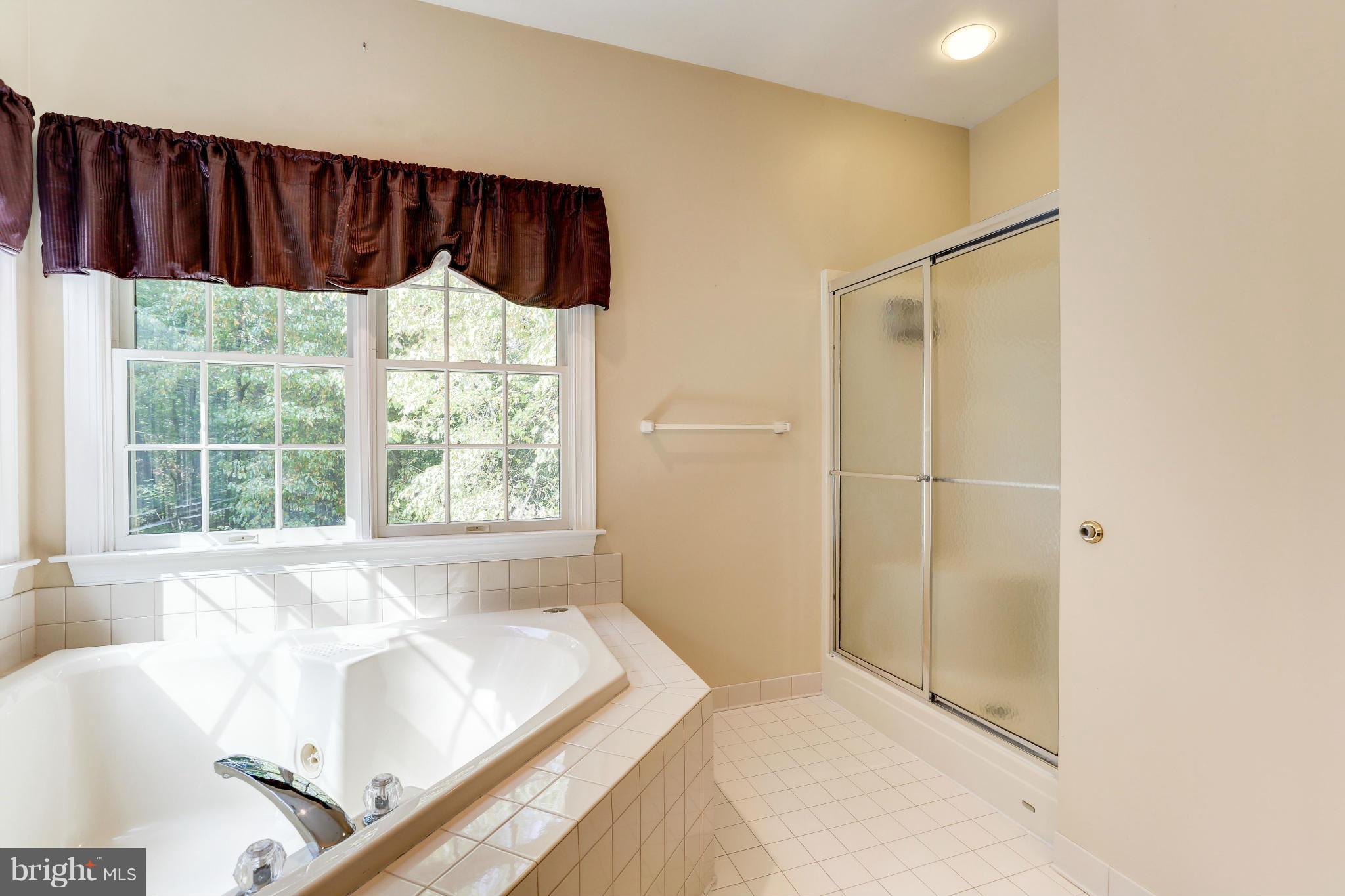 16147 Ed Warfield Road Woodbine, MD 21797 - Photo 18 of 30 Master Bath