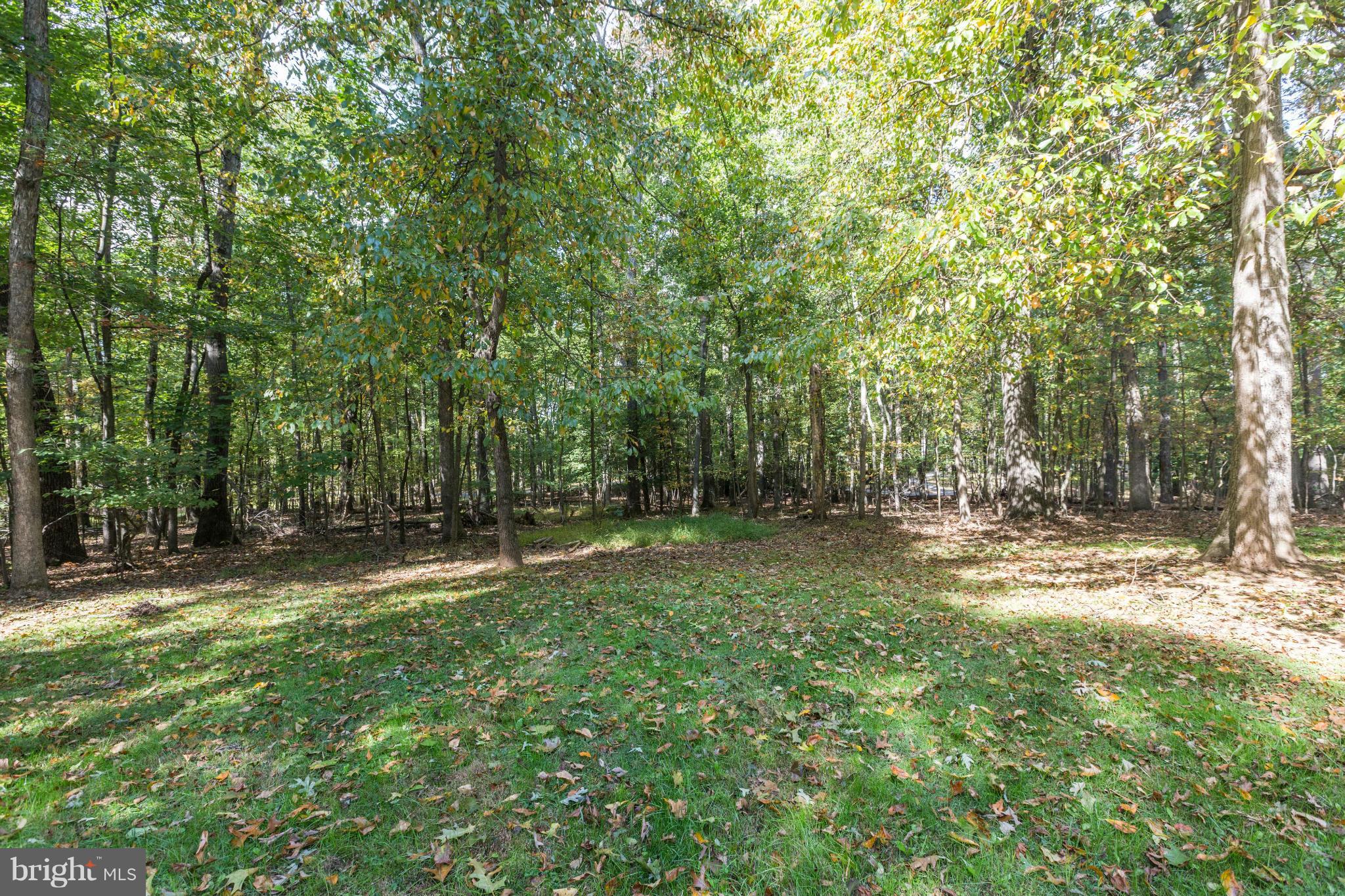 16147 Ed Warfield Road Woodbine, MD 21797 - Photo 28 of 30 Backyard View