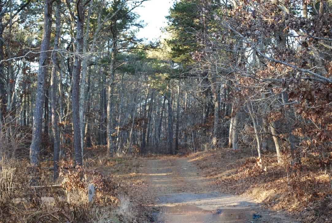 28 Samoset Road Harwich, MA 02645 - Photo 24 of 24 4Zn0DIrUQdWw5QoNm2dd5Q_thumb_f07d