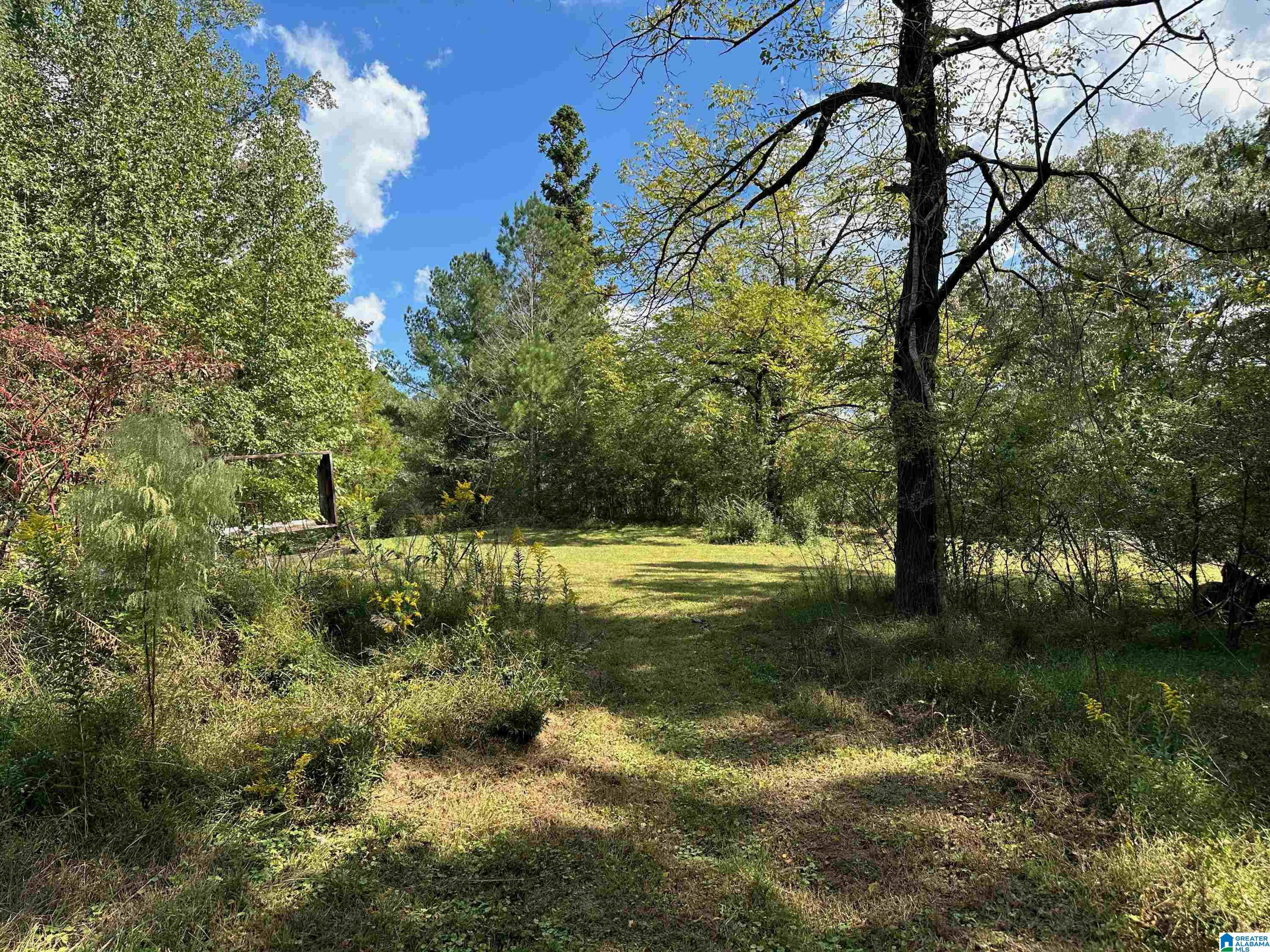 9204 Marsh Mountain Road Pinson, AL 35126 - Photo 40 of 56
