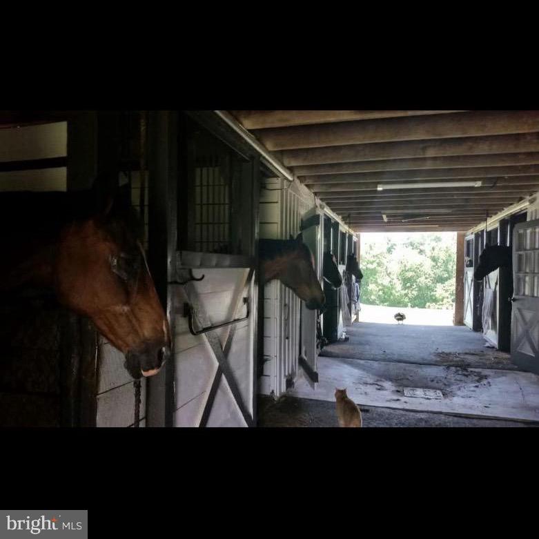 19255 Telegraph Springs Road Purcellville, VA 20132 - Photo 16 of 20 Horses in a serene barn setting.
