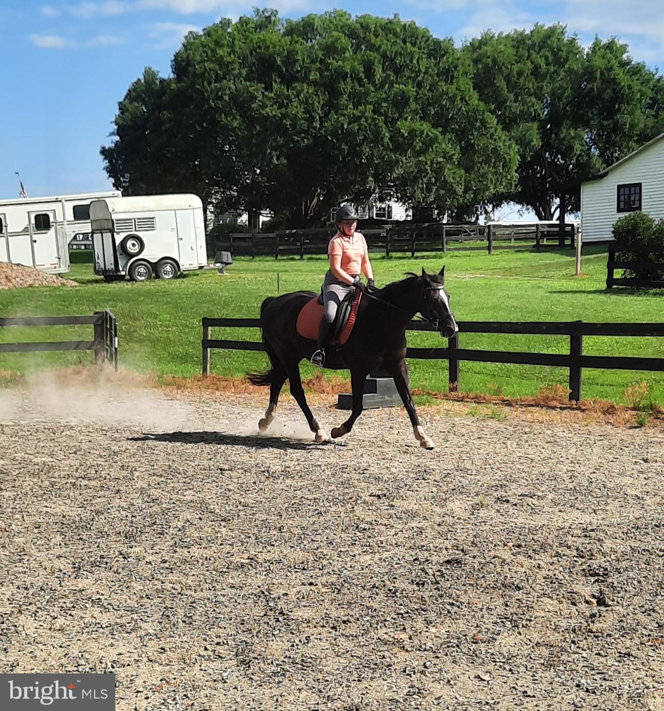 19255 Telegraph Springs Road Purcellville, VA 20132 - Photo 18 of 20 Rider and horse in a sunlit arena.