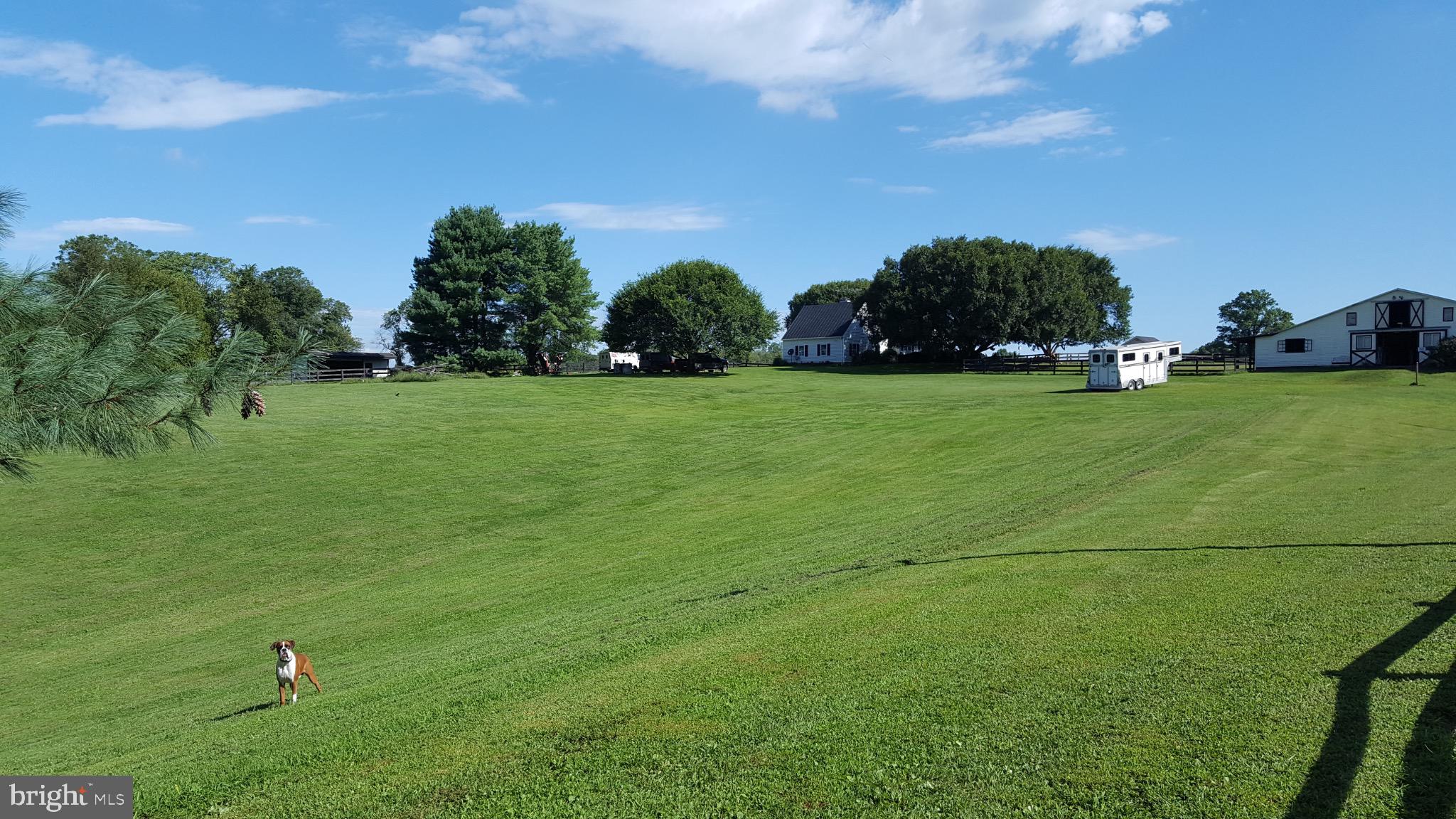 19255 Telegraph Springs Road Purcellville, VA 20132 - Photo 3 of 20 Expansive green fields under a bright sky.