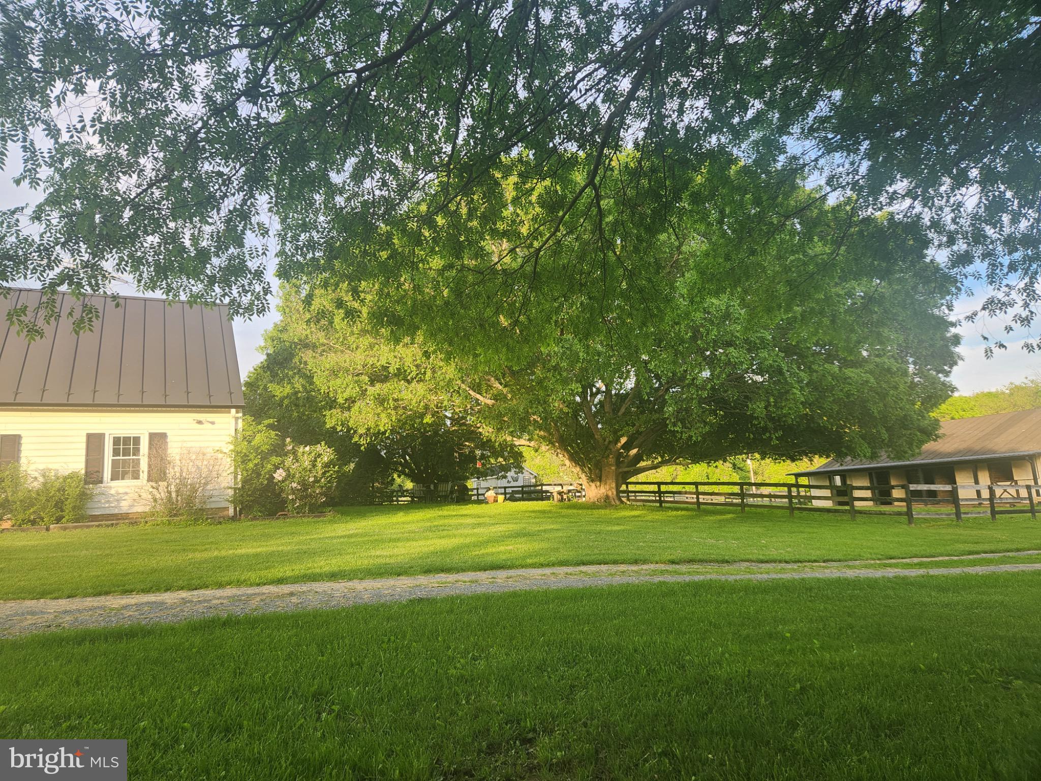 19255 Telegraph Springs Road Purcellville, VA 20132 - Photo 6 of 20 Serene countryside retreat with lush greenery.