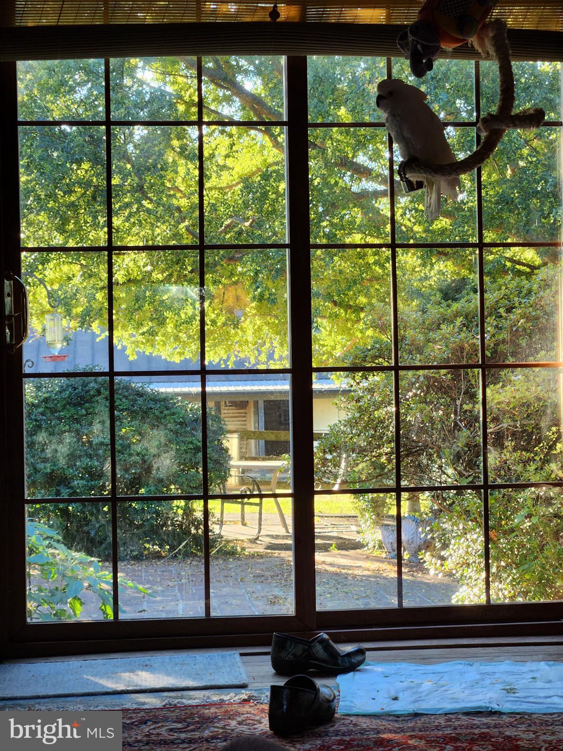 19255 Telegraph Springs Road Purcellville, VA 20132 - Photo 9 of 20 Sunlit garden view through a charming window.