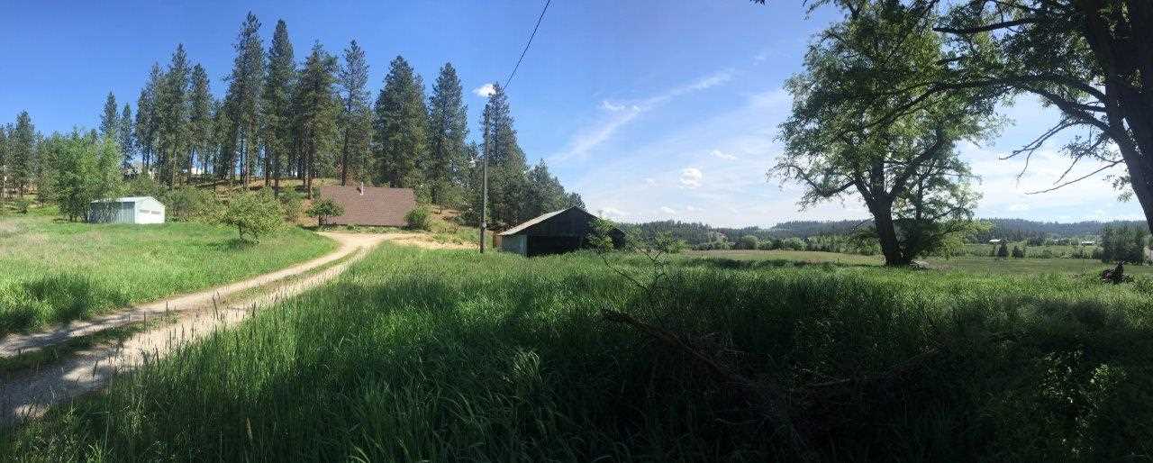 21810 North Dunn Road Colbert, WA 99005 - Photo 2 of 13