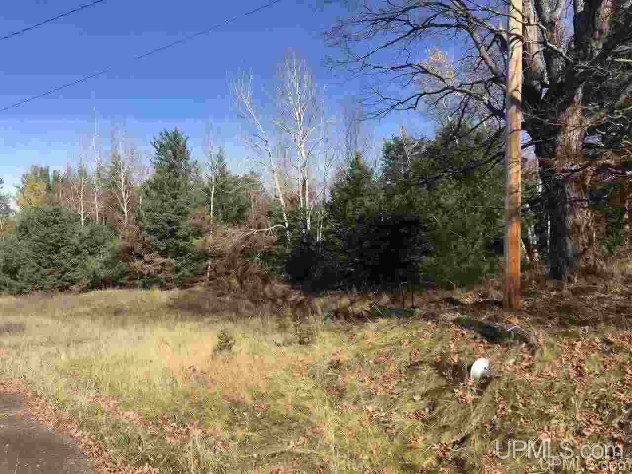 Tbd Tbd Us41 Ishpeming, MI 49849 - Photo 1 of 13