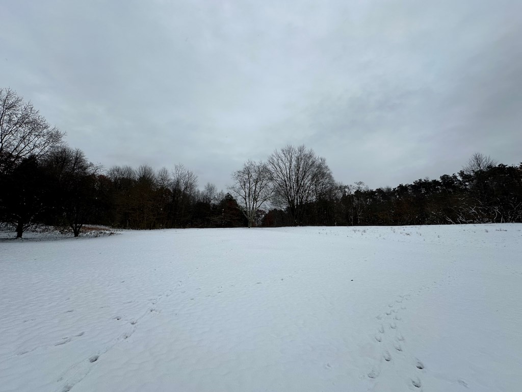 3776 Georgetown Road Polk, PA 16342 - Photo 6 of 26 a view of outdoor space and covered with trees in the background