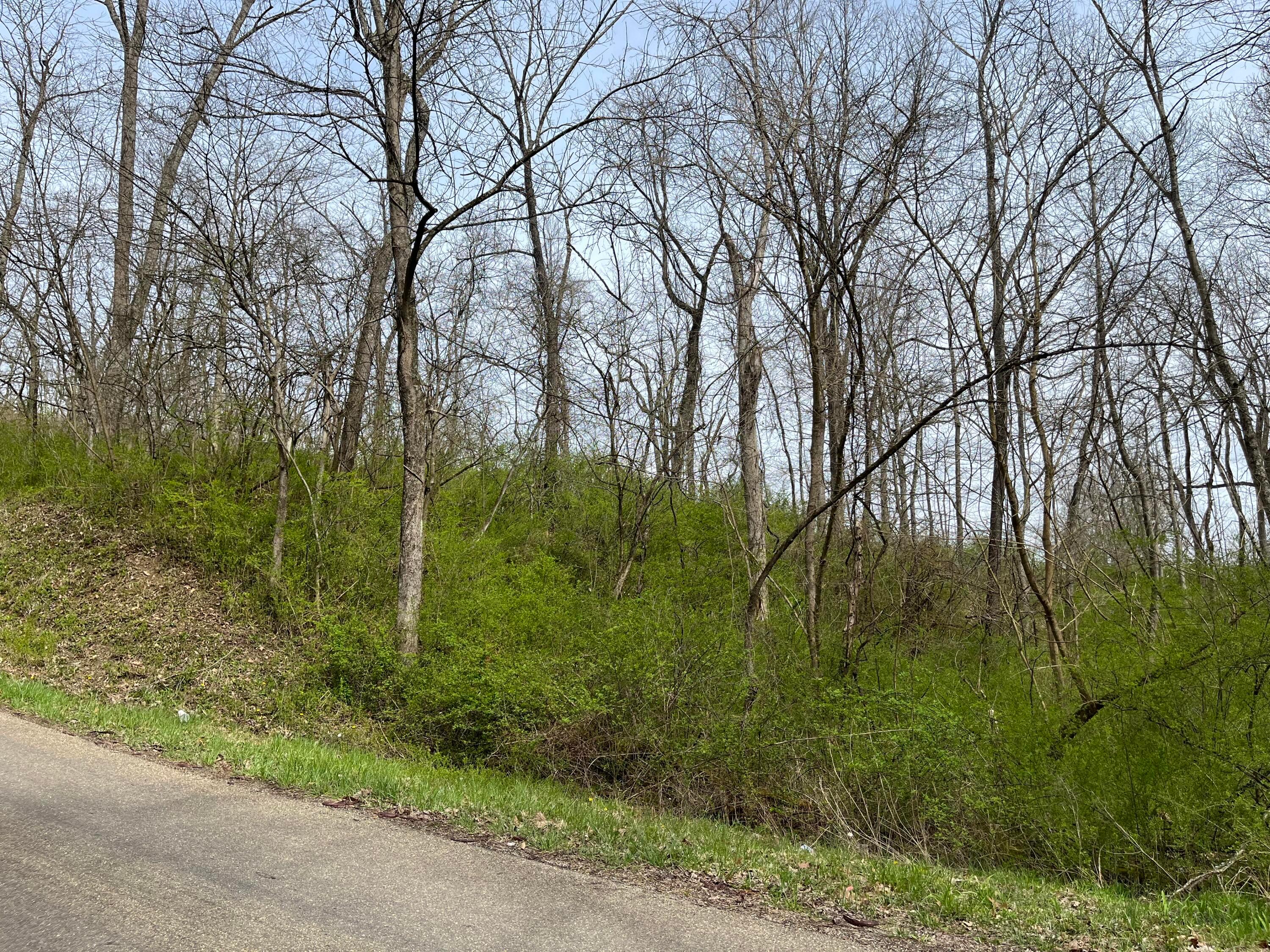 0 South Rehl Road Zanesville, OH 43701 - Photo 1 of 5 S Rehl Road 3