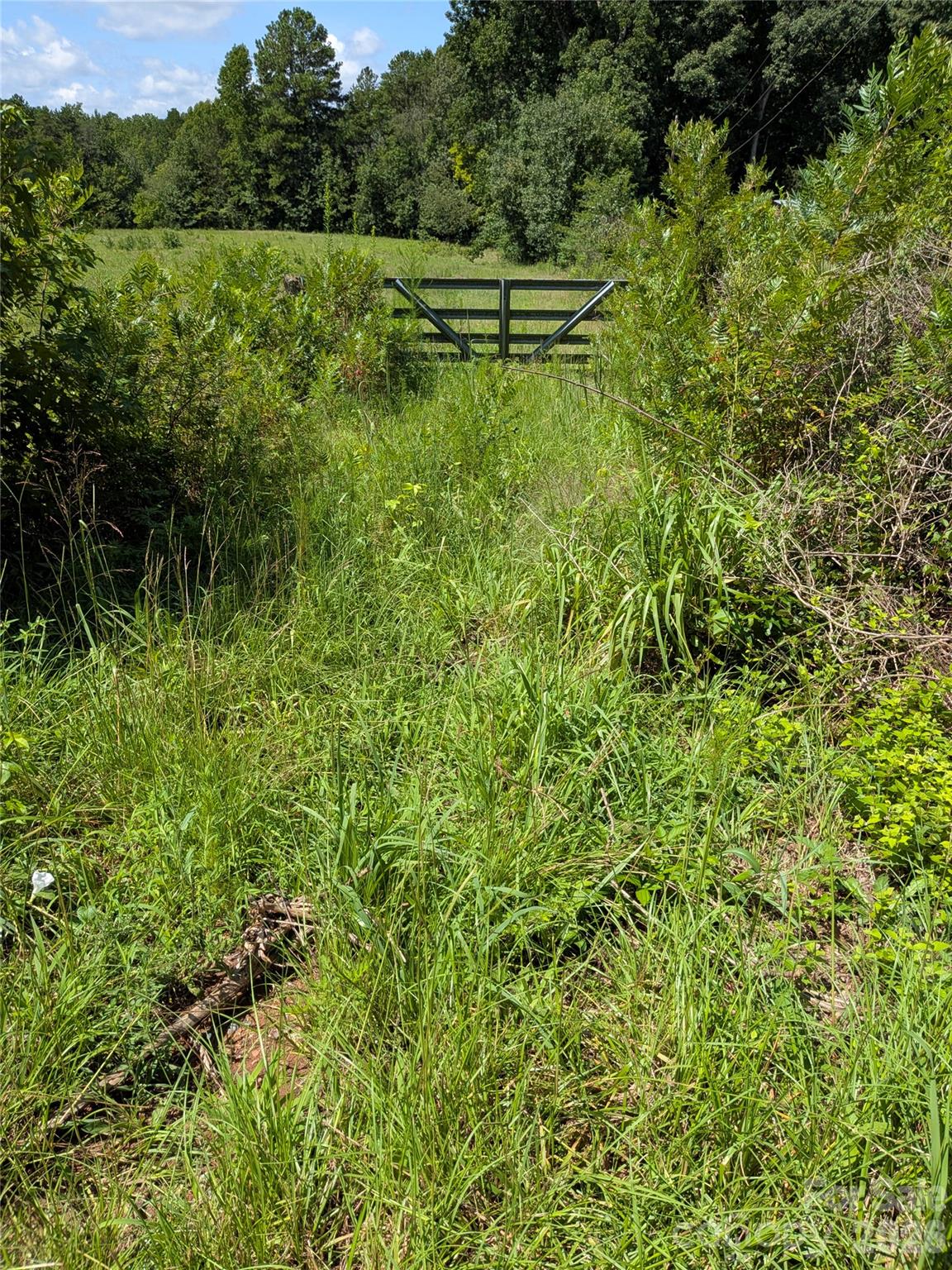 0 Freedom Mill Road, Unit 9 Gastonia, NC 28052 - Photo 3 of 4 Gallery Image 3