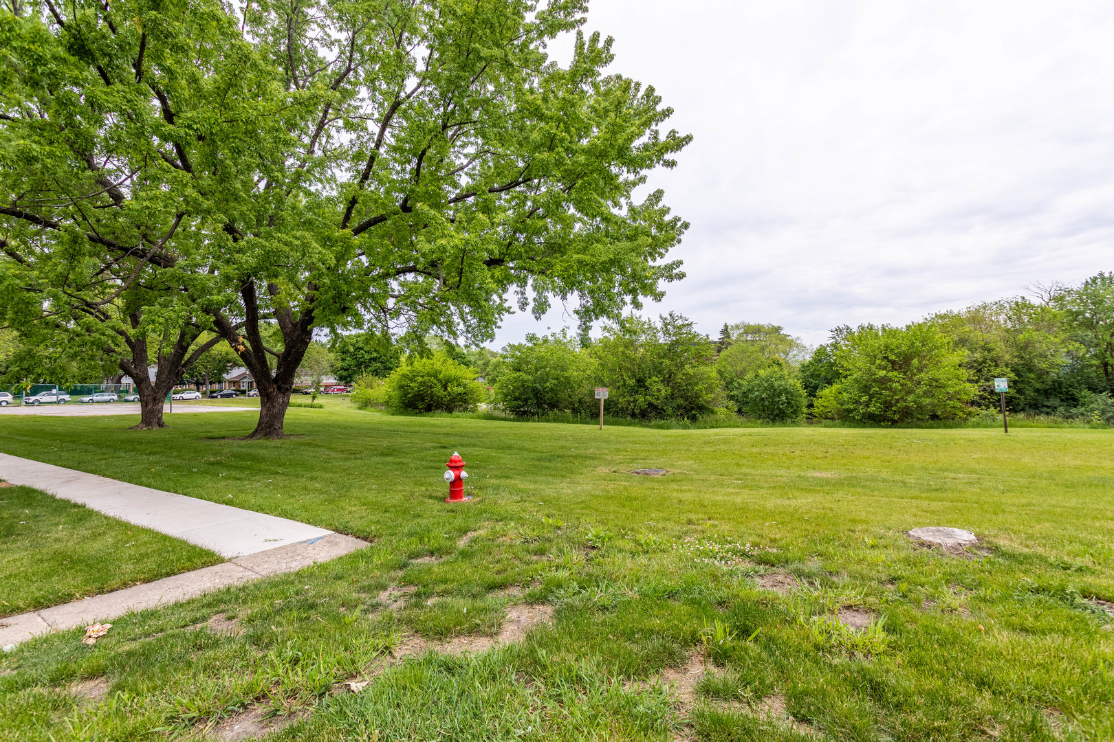 4057 Club Tree Drive Streamwood, IL 60107 - Photo 39 of 44