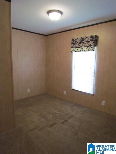2741 Mt Moriah Road South Pell City, AL 35125 - Photo 13 of 19