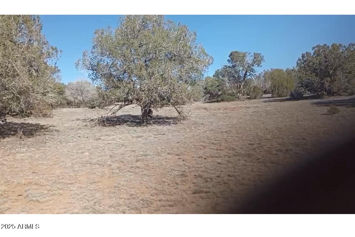 N/a South Peaceful Hill Road Seligman, AZ 86337 - Photo 1 of 1 a black and white photo of a house