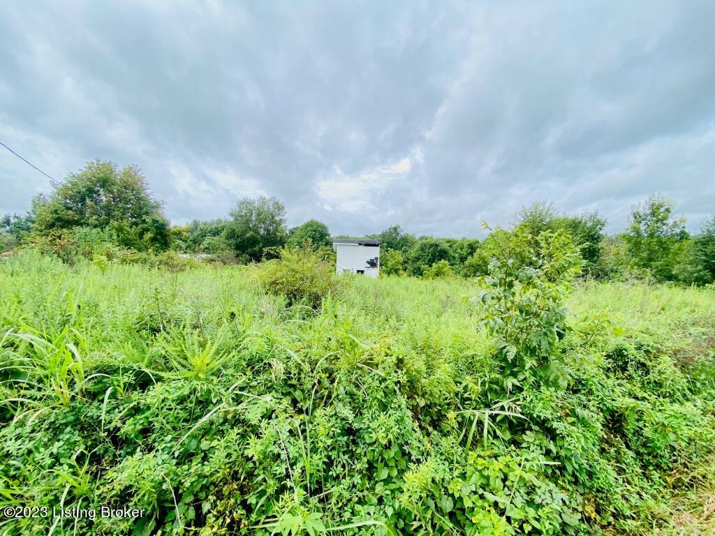 353 Polin-Hardesty-Litsey Road Springfield, KY 40069 - Photo 4 of 5 IMG_5586