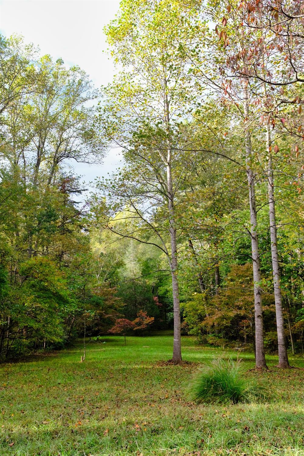 528 Wheeler Road Lynchburg, VA 24504 - Photo 75 of 87 Gallery Image 75