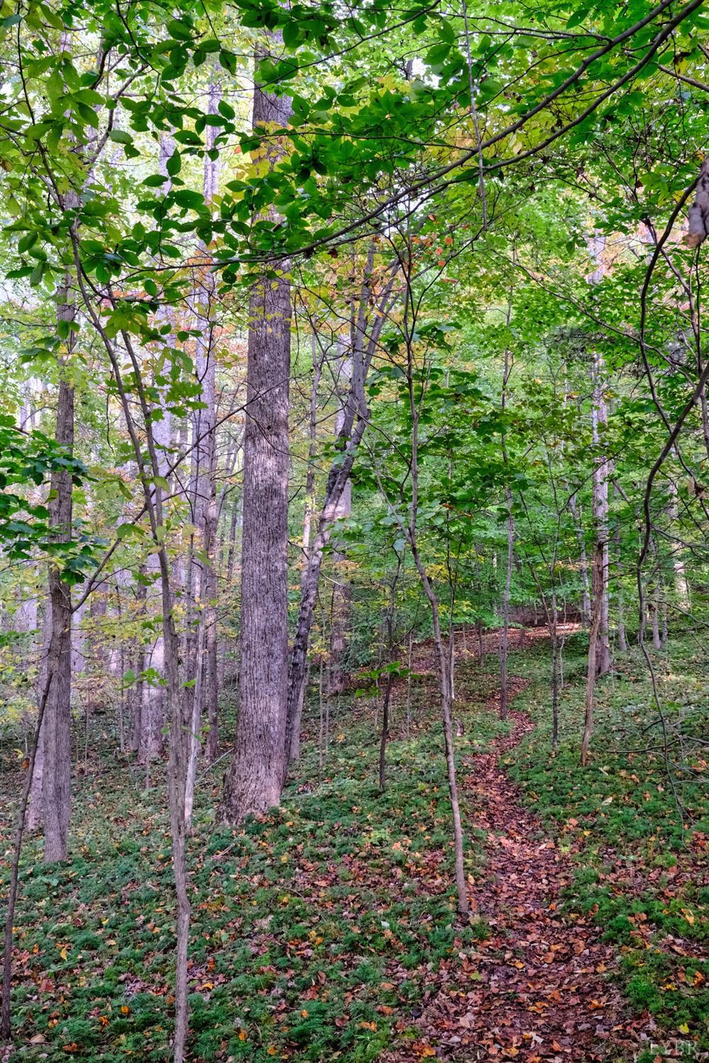 528 Wheeler Road Lynchburg, VA 24504 - Photo 76 of 87 Gallery Image 76