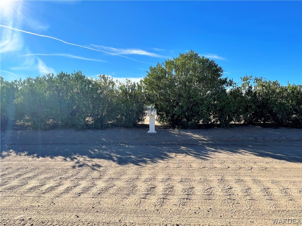 171 South Houck Road Golden Valley, AZ 86413 - Photo 28 of 36 a view of a yard with a tree