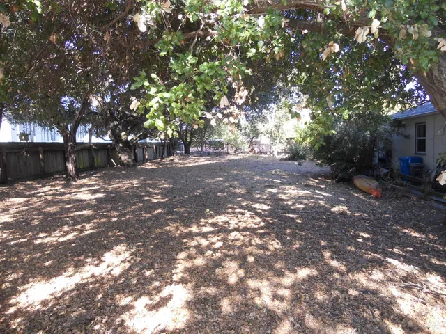 a view of a tree in the middle of a yard