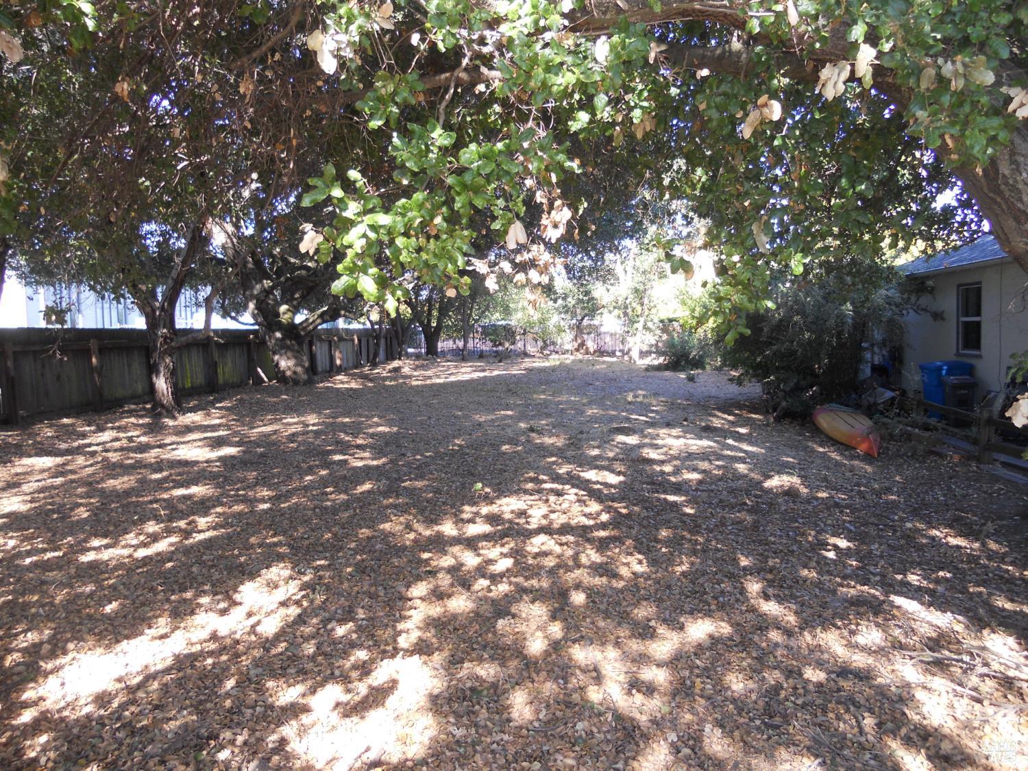a view of a tree in the middle of a yard