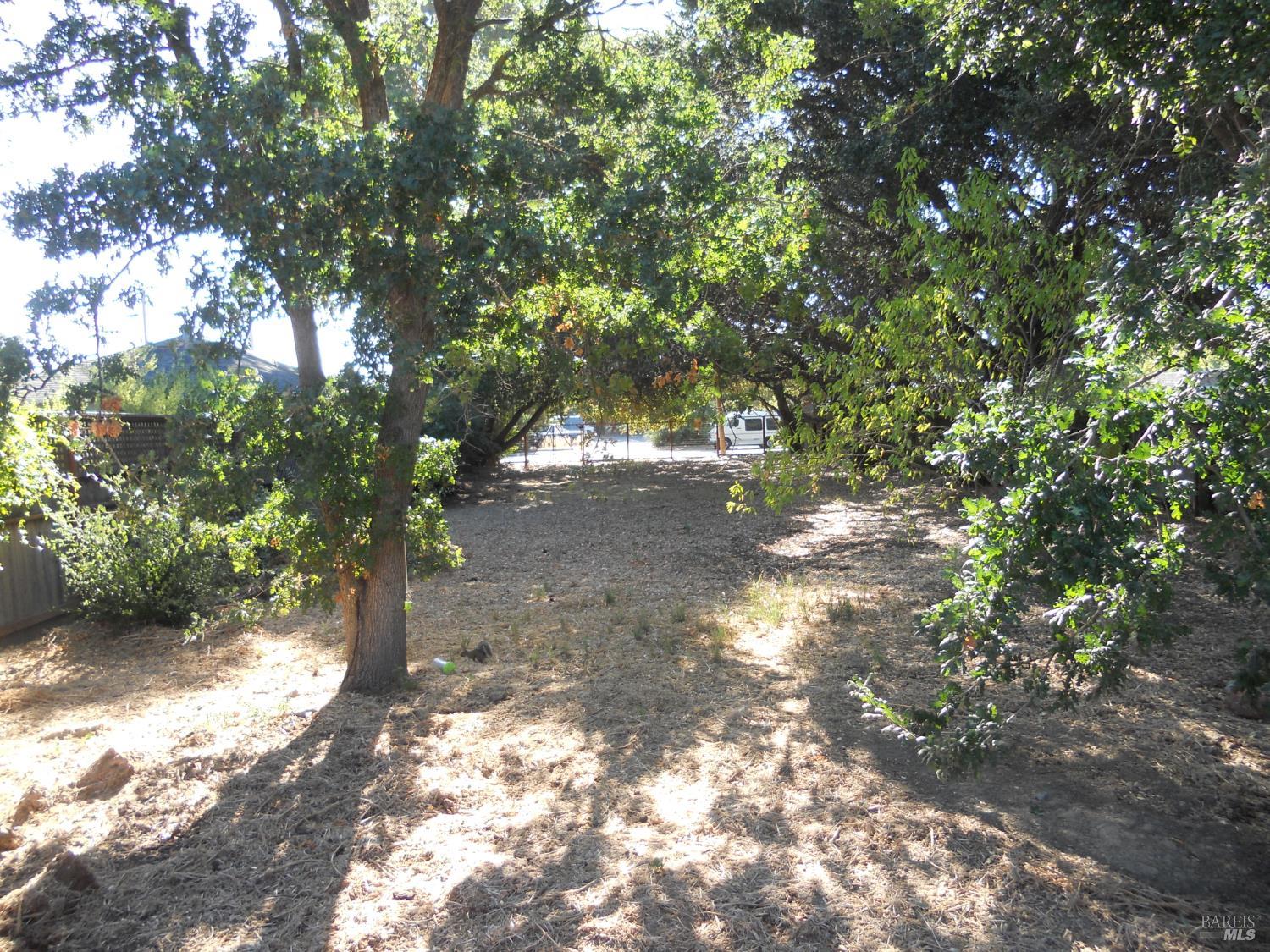1017 4th Street Novato, CA 94945 - Photo 2 of 9 a backyard of a house with lots of green space