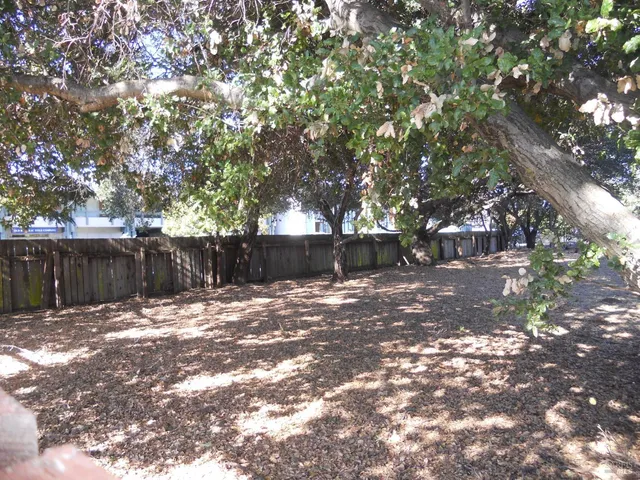 a backyard of a house with lots of green space