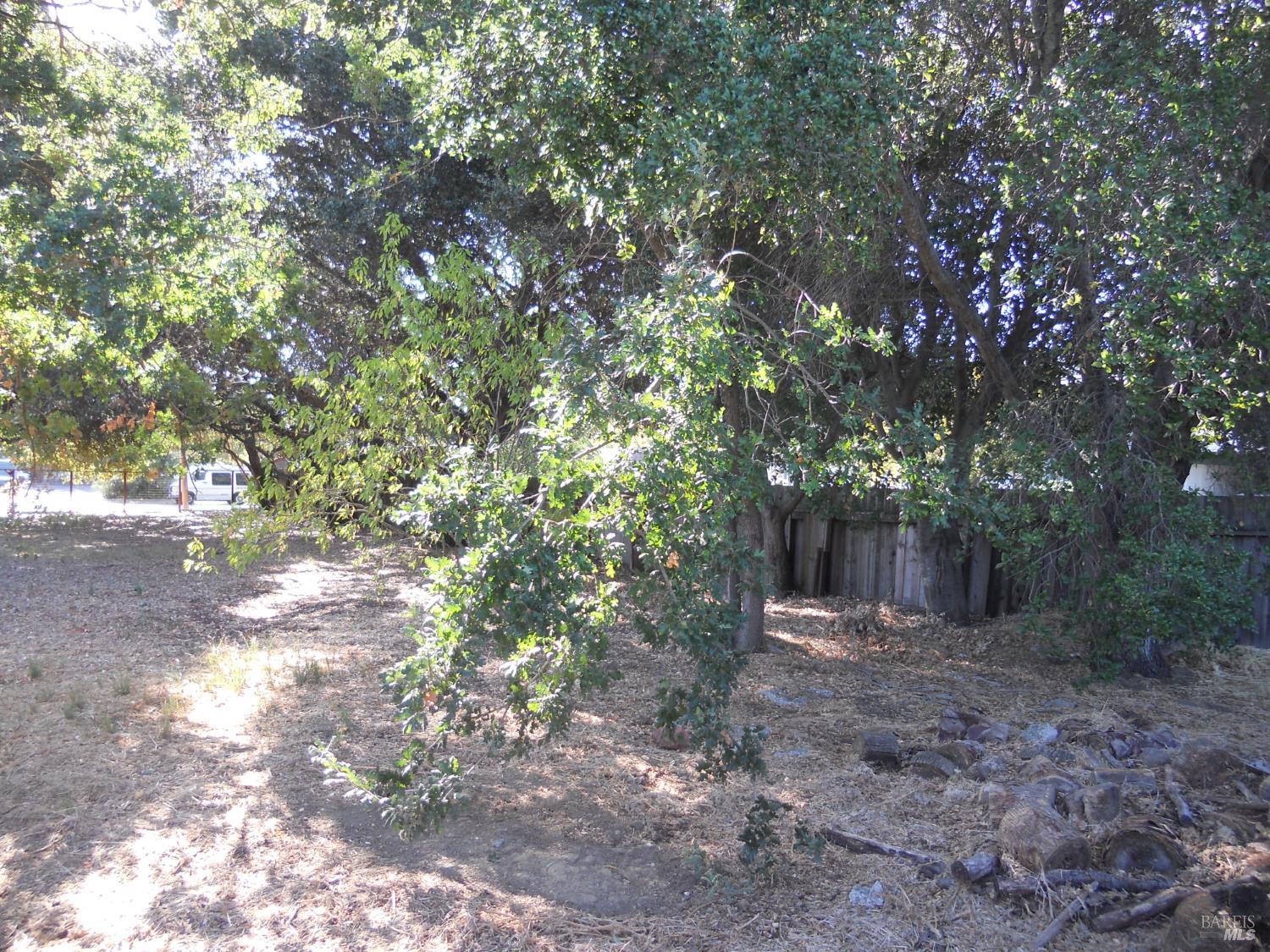 1017 4th Street Novato, CA 94945 - Photo 7 of 9 a view of outdoor space and tree