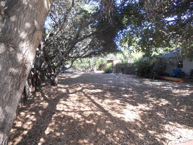 a view of a tree with in between the house