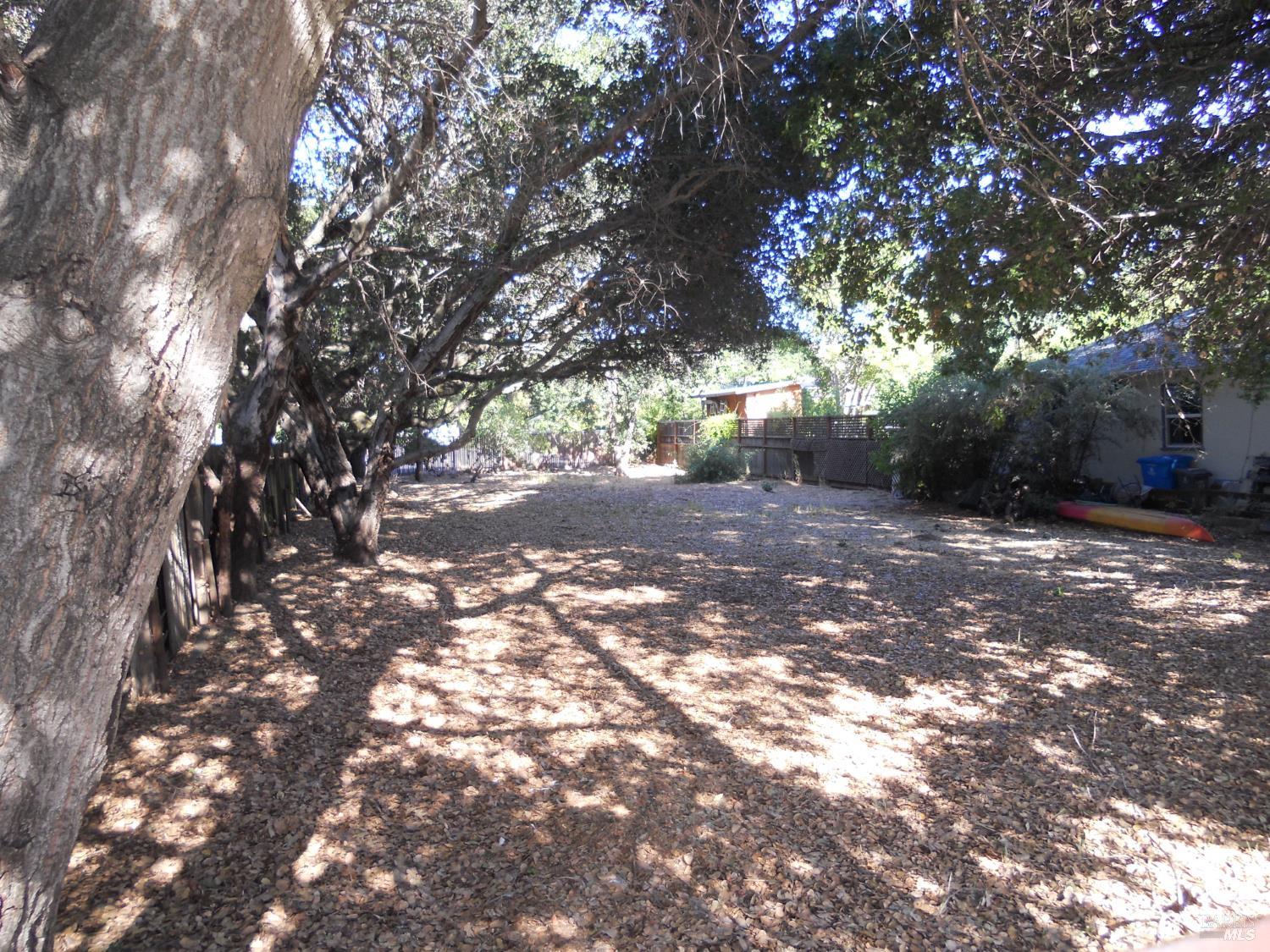 1017 4th Street Novato, CA 94945 - Photo 8 of 9 a view of a tree with in between the house