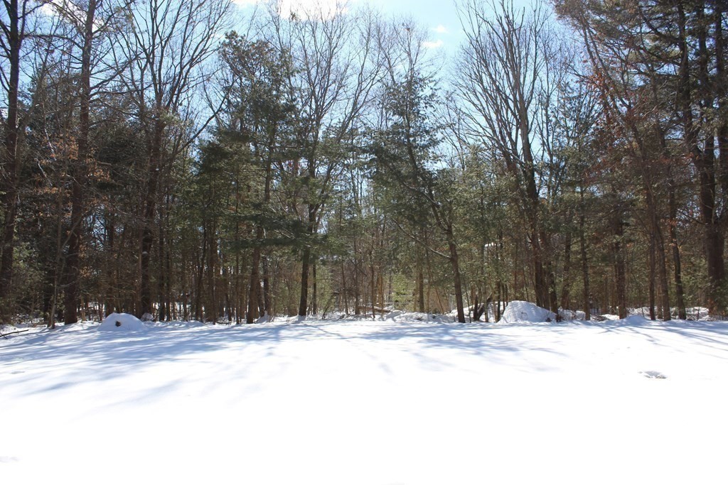 11 Anthony Road Hopedale, MA 01747 - Photo 30 of 35 Gallery Image 30