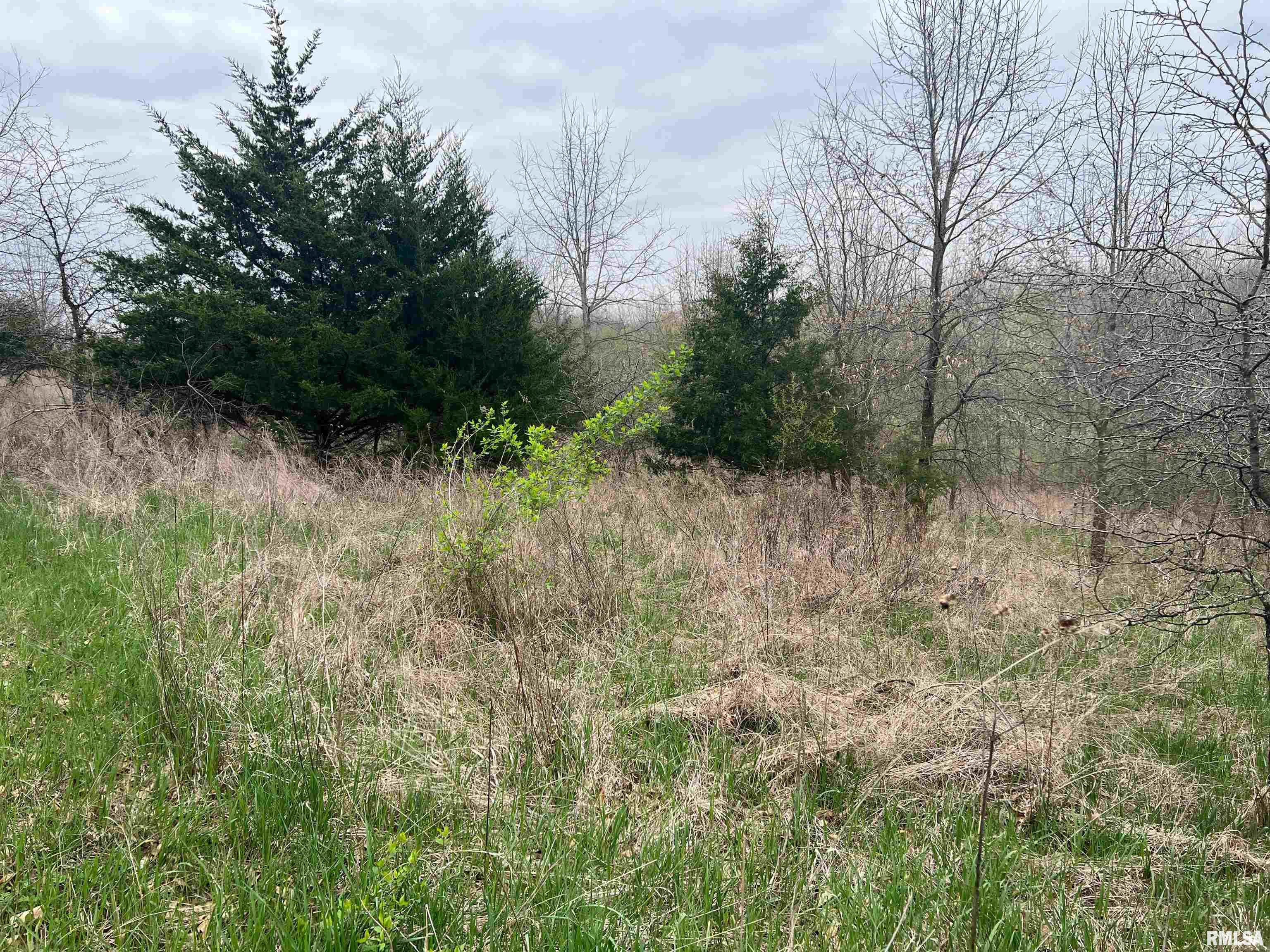 Rr Flower Creek Road Plymouth, IL 62367 - Photo 15 of 30