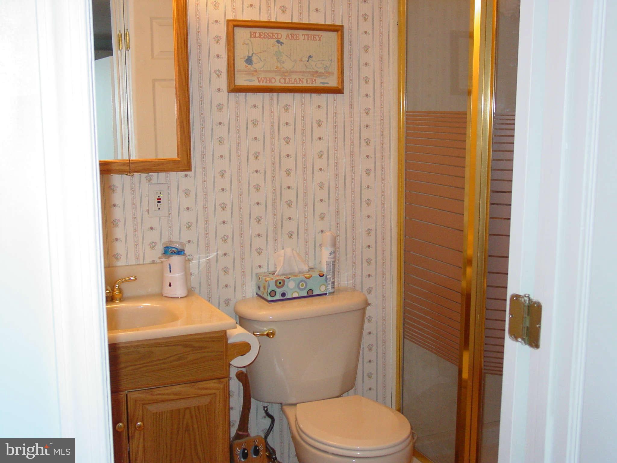 3135 Baybriar Road Baltimore, MD 21222 - Photo 20 of 29 Bath