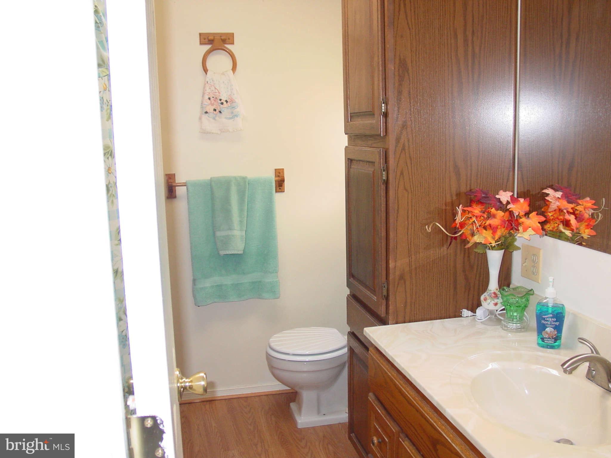 3135 Baybriar Road Baltimore, MD 21222 - Photo 27 of 29 Bath