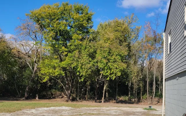 a view of a yard with a house in the background